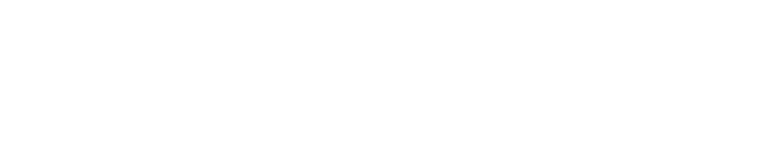 流心商學院_LOGO(白)